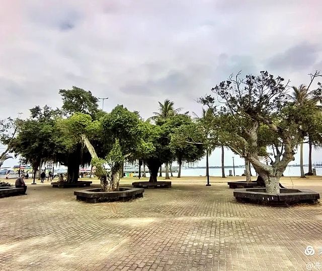 城裡人私藏觀景秘境 城裡人私藏觀景秘境