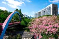 雲端綠道網紅橋小眾親子徒步路線快打卡