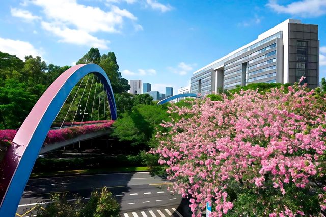 雲端綠道網紅橋小眾親子徒步路線快打卡 雲端綠道網紅橋小眾親子徒步路線快打卡