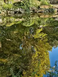 絕絕子!西安免費唐風公園封神啦