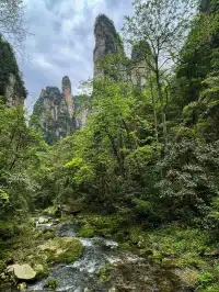 冬遊張家界國家森林公園+千古情路線