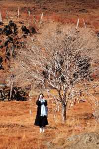 壯美雪山秘境打卡姑弄村的半日悠閒