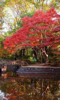 嶽麓山懶人一日遊攻略（超詳細版）