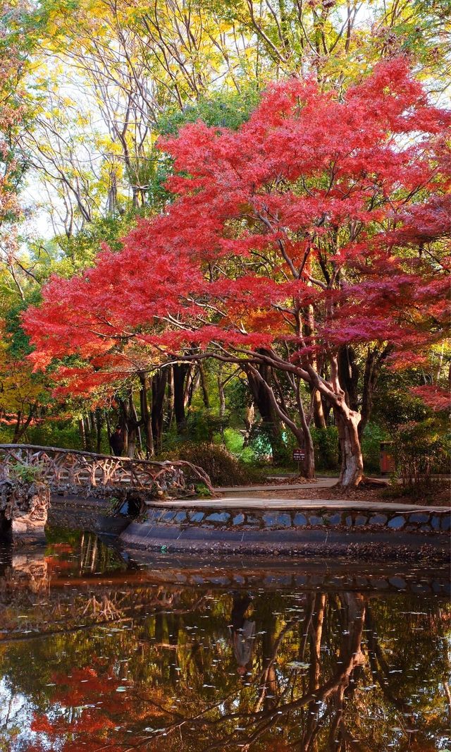 嶽麓山懶人一日遊攻略（超詳細版）