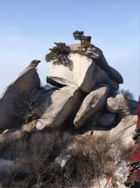 冬天來西安包車遊尊嘟超讚