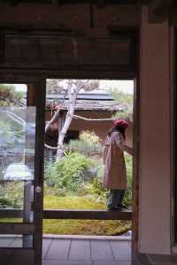 浙G秋假|去景德鎮到“瓷”一遊呀