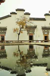 廣富林的深秋中式美學達到巔峰!