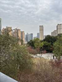 宜昌城東公園漫遊記 | 城市綠肺與長江風情完美結合  這幾天在宜昌發現了一個週末放空的好去處