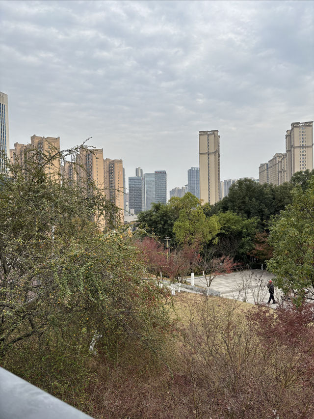 宜昌城東公園漫遊記 | 城市綠肺與長江風情完美結合  這幾天在宜昌發現了一個週末放空的好去處