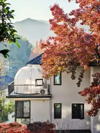 秋天又來了! 臨安指南村實況