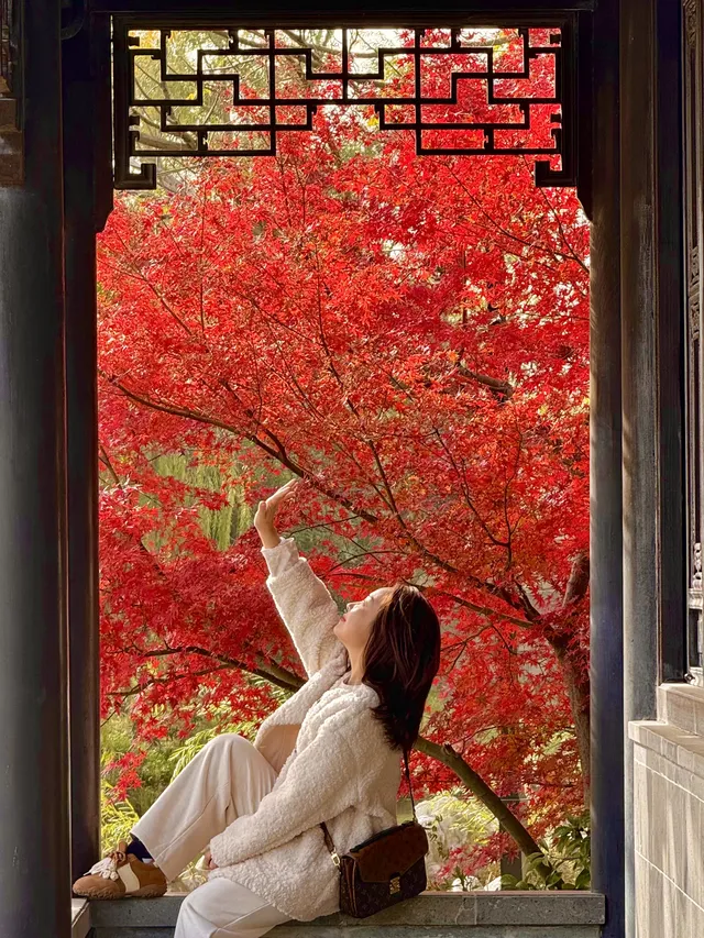 上海自駕1h賞秋紅透的楓葉真的美到封神 上海自駕1h賞秋紅透的楓葉真的美到封神