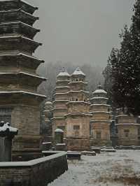 鄭州-洛陽5日遊 保姆級攻略來啦