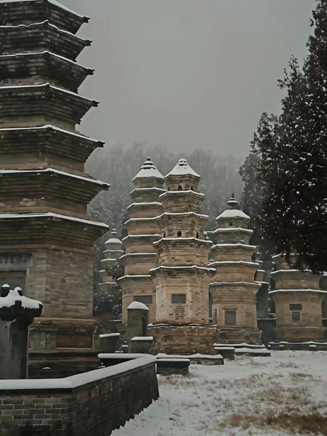 鄭州-洛陽5日遊 保姆級攻略來啦