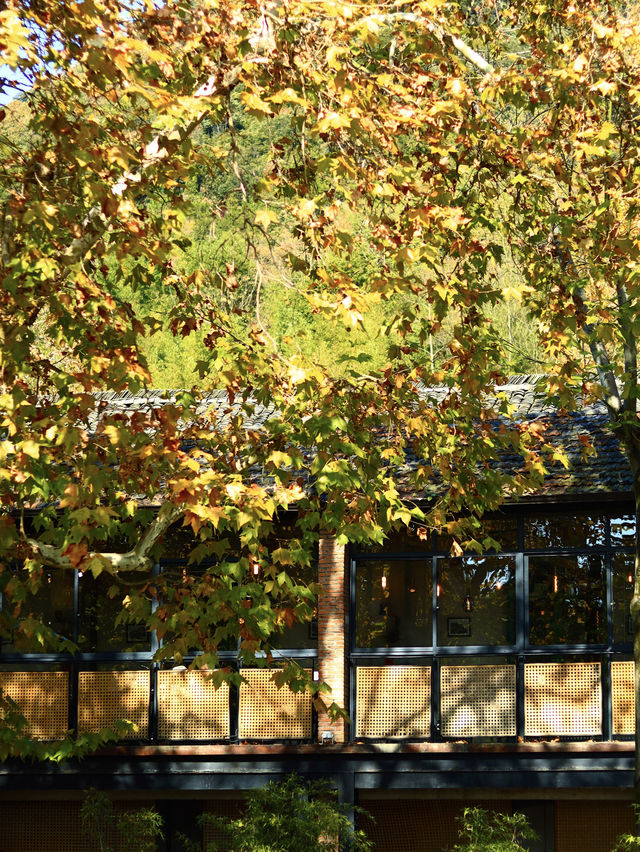 莫干山腳下 莫干山腳下