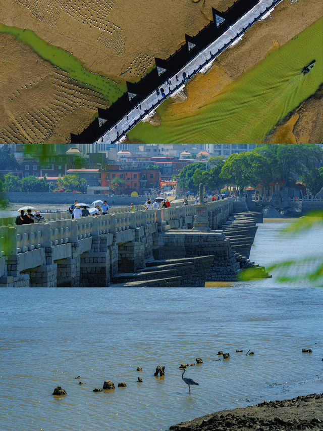 泉州，我旅途上最大的「意難平」！這座城市的美你想像不到