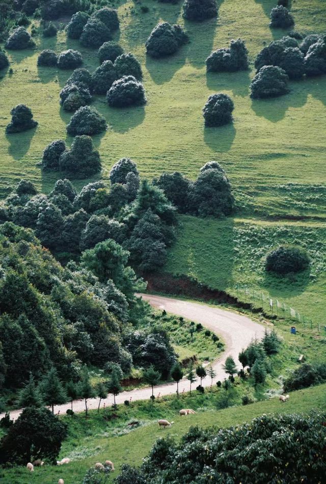 大理風車山!闖進童話牧場 大理風車山!闖進童話牧場