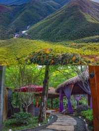 竹海+溫泉，這才是秋冬正確打開方式