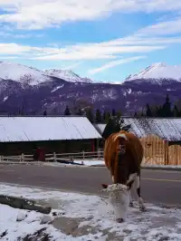新疆旅遊 ｜1歲的寶寶來喀納斯啦～