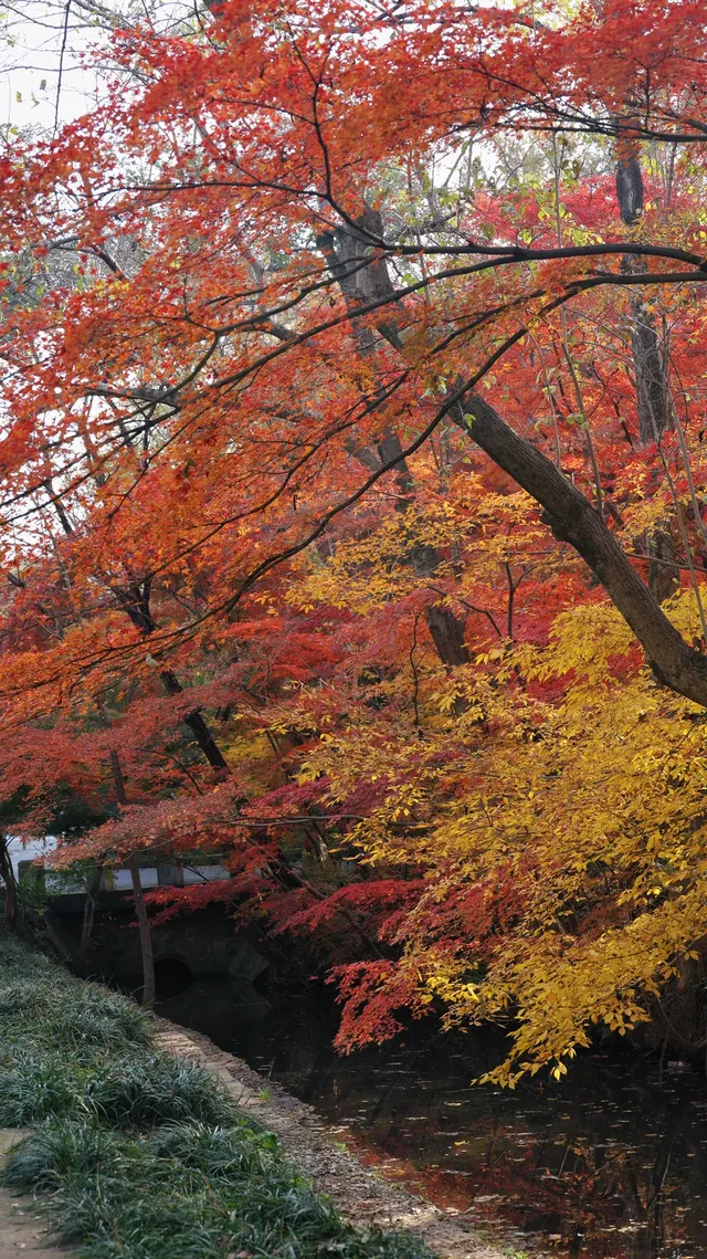 11.30植物園還是那麼有性價比 ＼(*T▽T*)／