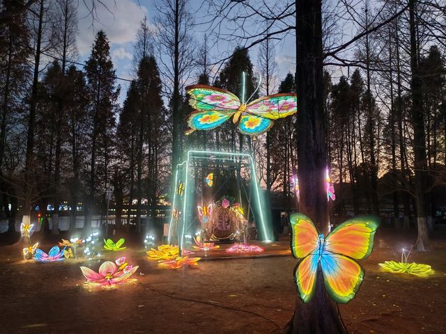 昆明大觀公園新春燈會(八) 昆明大觀公園新春燈會(八)