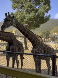 江浙滬遛娃計劃開啟第一站太湖龍之夢