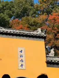 南京兩日遊攻略，只要49.9拒絕暴走斷腿！