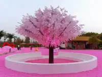 和閨蜜在粉沙灣，拍爆內存！