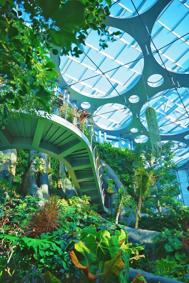 闖入綠野仙蹤,快來當森系主角 闖入綠野仙蹤,快來當森系主角