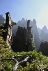 黃山(二) | 松與石