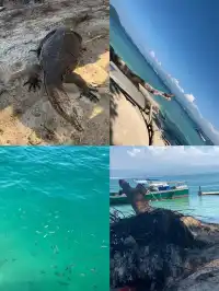 是誰在炒冷飯|杭州-馬來西亞沙巴5日遊