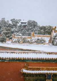 瀋陽故宮的雪太絕了!冬日限定版紅牆白雪,美到窒息!