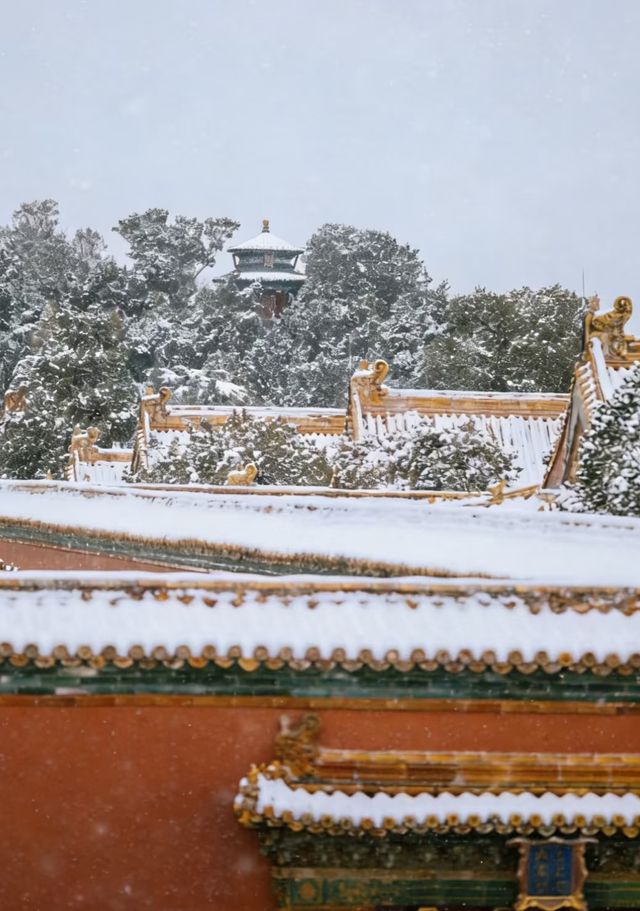 瀋陽故宮的雪太絕了!冬日限定版紅牆白雪,美到窒息! 瀋陽故宮的雪太絕了!冬日限定版紅牆白雪,美到窒息!