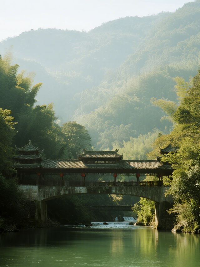 鼎湖山冬日親子遊！1.5h直達吸氧賞雪～
