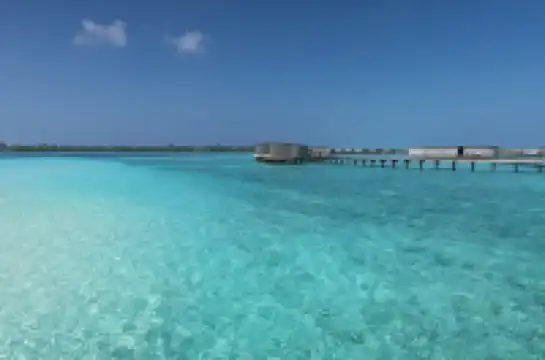 馬爾代夫 麗思卡爾頓選島成功