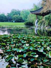 杭州柳浪聞鶯:從隱秘小徑到絕美落日,這片秘境藏著多少驚喜?