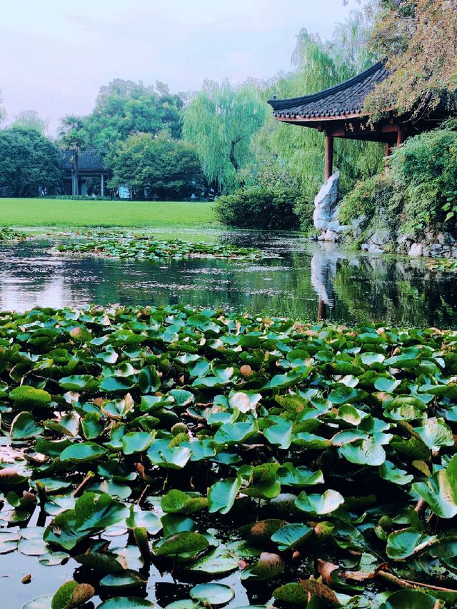 杭州柳浪聞鶯:從隱秘小徑到絕美落日,這片秘境藏著多少驚喜? 杭州柳浪聞鶯:從隱秘小徑到絕美落日,這片秘境藏著多少驚喜?