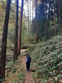 成都霧霾天的救命徒步!蒲虹路6公里,拿捏!