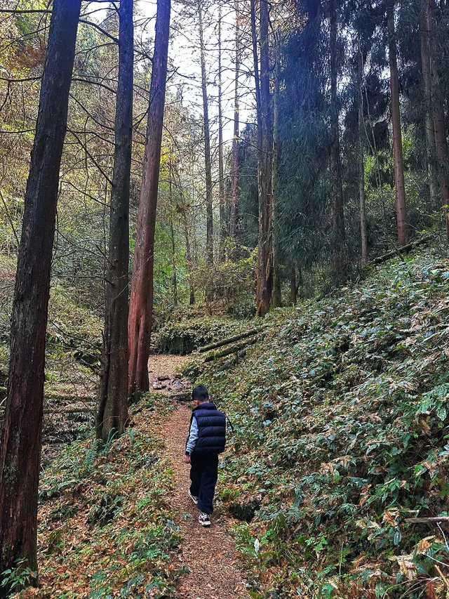 成都霧霾天的救命徒步!蒲虹路6公里,拿捏! 成都霧霾天的救命徒步!蒲虹路6公里,拿捏!