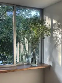 泉州新的木質調咖啡店,坐在綠意窗台飲咖