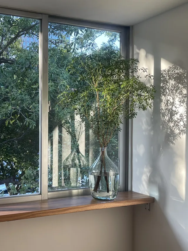 泉州新的木質調咖啡店,坐在綠意窗台飲咖 泉州新的木質調咖啡店,坐在綠意窗台飲咖