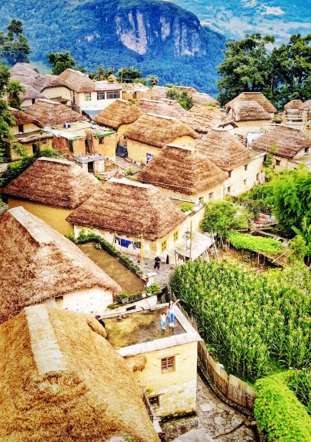 來元陽看一場地球最美的曲線吧! 來元陽看一場地球最美的曲線吧!