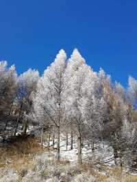 2025初雪赴一場蘆芽山冰雪奇緣!古堡溫泉全攻略