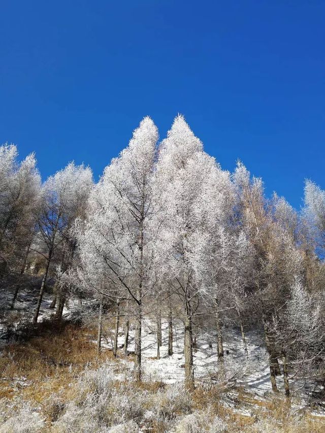 2025初雪赴一場蘆芽山冰雪奇緣!古堡溫泉全攻略 2025初雪赴一場蘆芽山冰雪奇緣!古堡溫泉全攻略