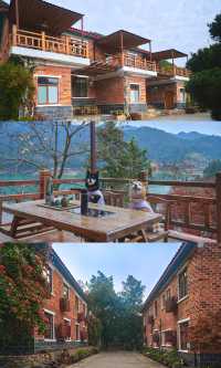 郴州資興|在森林裡遇見了東江湖晨霧