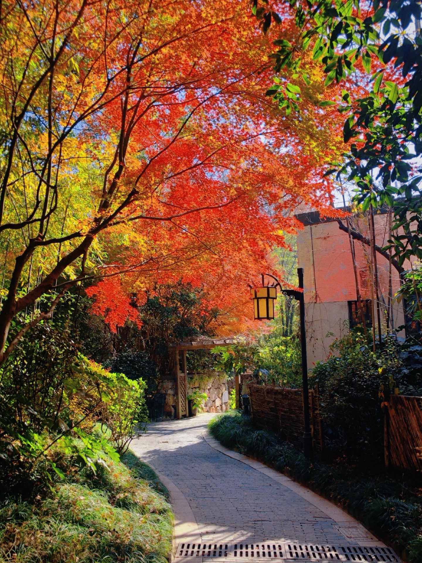 Must-visit around Hefei! Shenye Bantang Yuquan Zhuang Hot Spring Guide