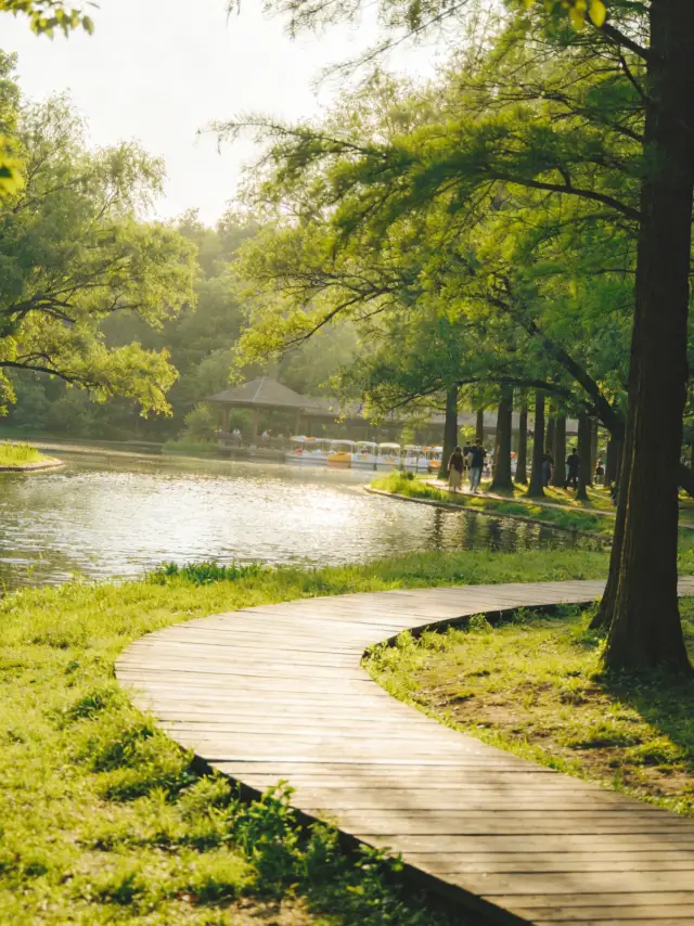 Shanghai Gongqing Forest Park