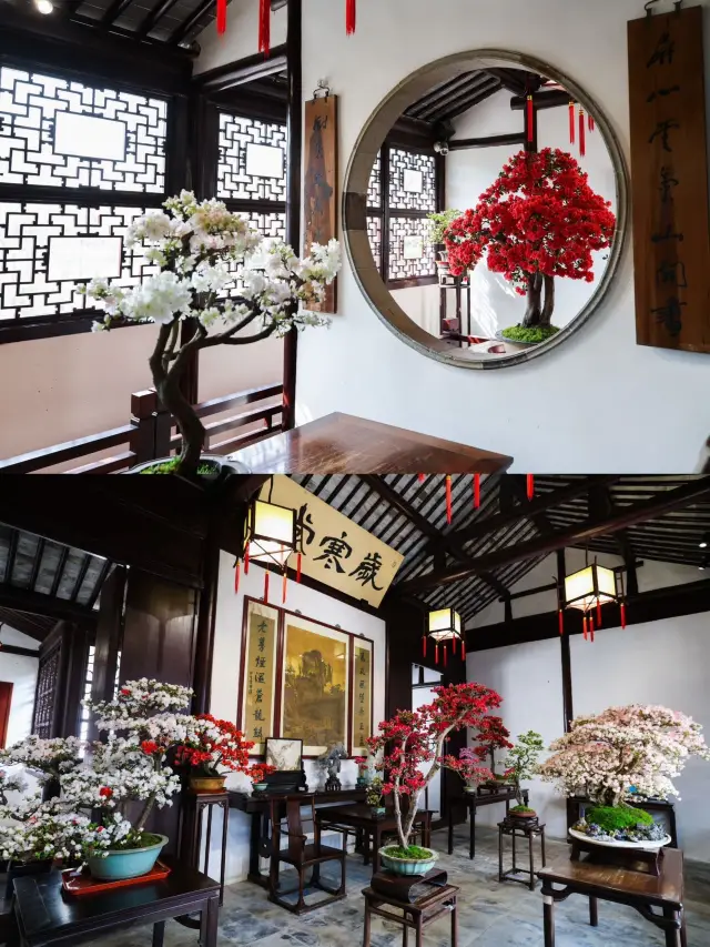 Tianpingshan Azalea Sea is ready! Immersive exhibition tour guide is here