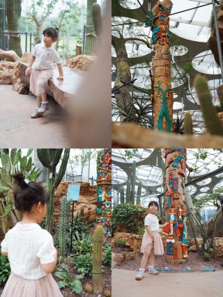 Magic City family outing 91 | From midsummer straight into the secret American rainforest