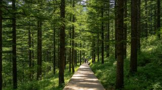 Deer village hides a cool realm, lakes and mountains bring a fresh breeze, a three-day off-the-beaten-path summer escape guide to Liaoyuan