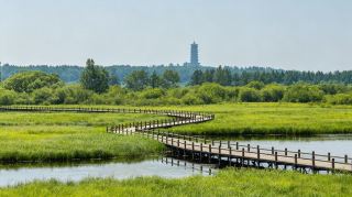 Three rivers converge in splendor, the easternmost land holds hidden charm | Jiamusi three-day all-region in-depth travel guide